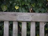 image of grave number 807826